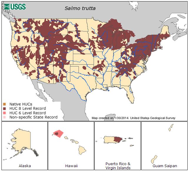 Ареал обитания кумжи в США